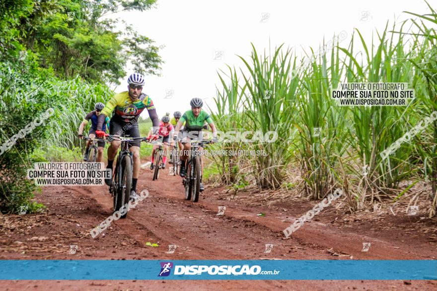 1ª EDIÇÃO DESAFIO ABELHA GRANDE - XCM