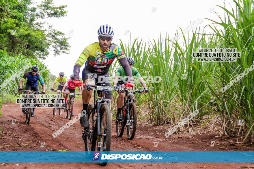 1ª EDIÇÃO DESAFIO ABELHA GRANDE - XCM