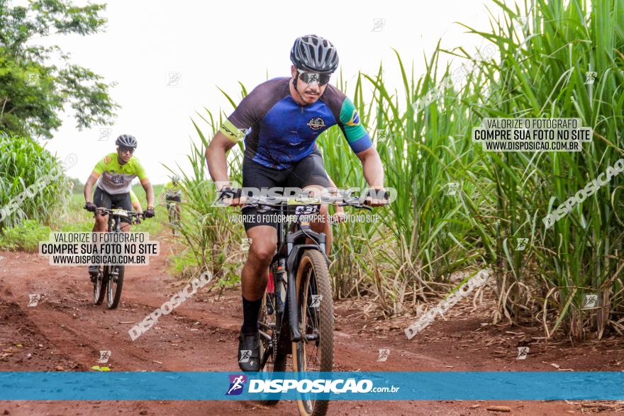 1ª EDIÇÃO DESAFIO ABELHA GRANDE - XCM