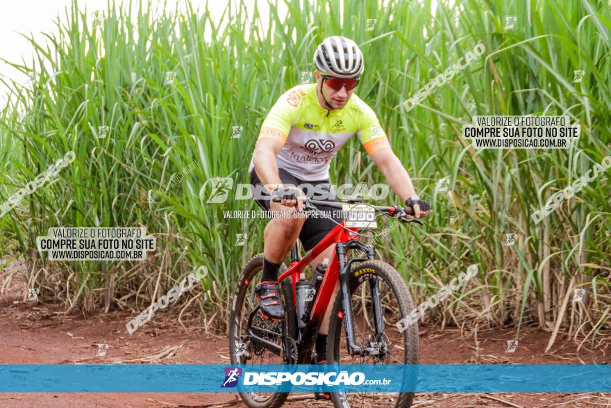 1ª EDIÇÃO DESAFIO ABELHA GRANDE - XCM