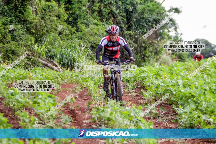 1ª EDIÇÃO DESAFIO ABELHA GRANDE - XCM