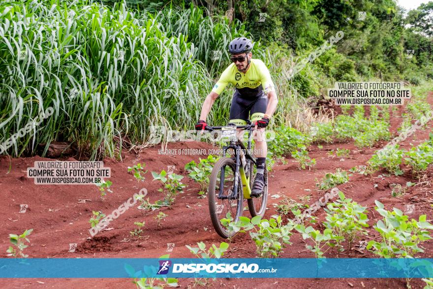 1ª EDIÇÃO DESAFIO ABELHA GRANDE - XCM