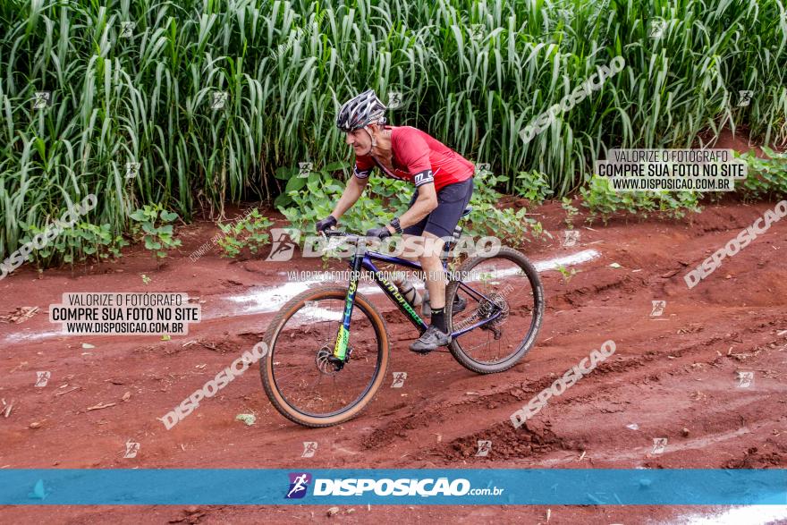 1ª EDIÇÃO DESAFIO ABELHA GRANDE - XCM