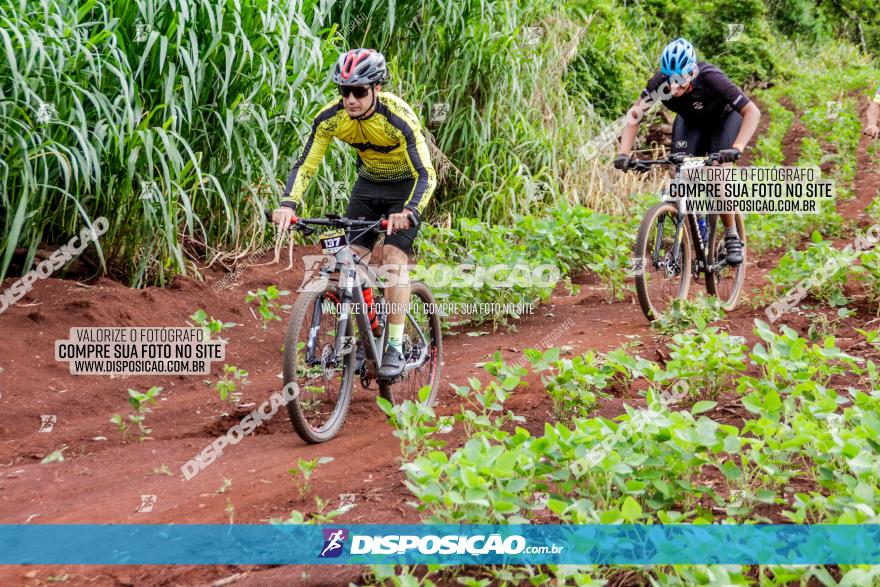 1ª EDIÇÃO DESAFIO ABELHA GRANDE - XCM