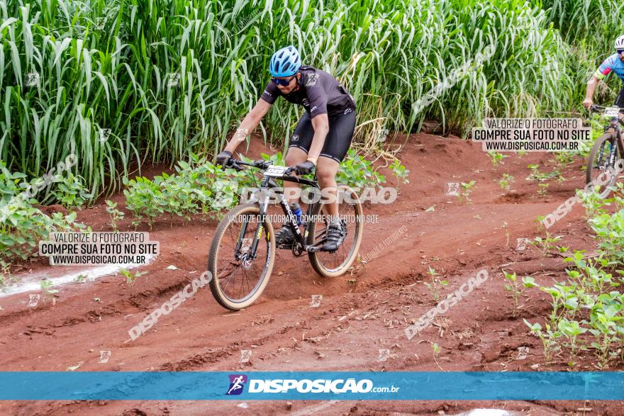 1ª EDIÇÃO DESAFIO ABELHA GRANDE - XCM