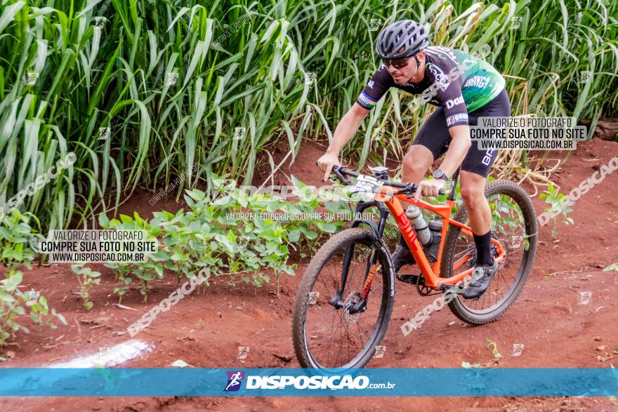 1ª EDIÇÃO DESAFIO ABELHA GRANDE - XCM