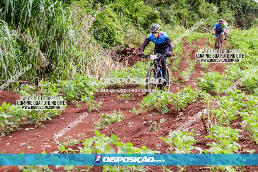 1ª EDIÇÃO DESAFIO ABELHA GRANDE - XCM