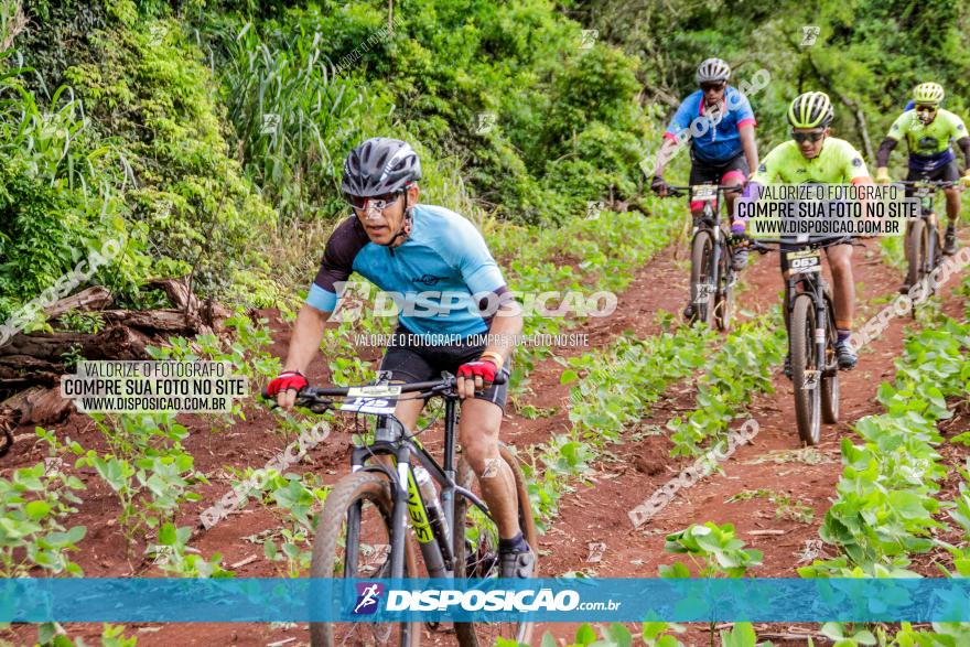 1ª EDIÇÃO DESAFIO ABELHA GRANDE - XCM