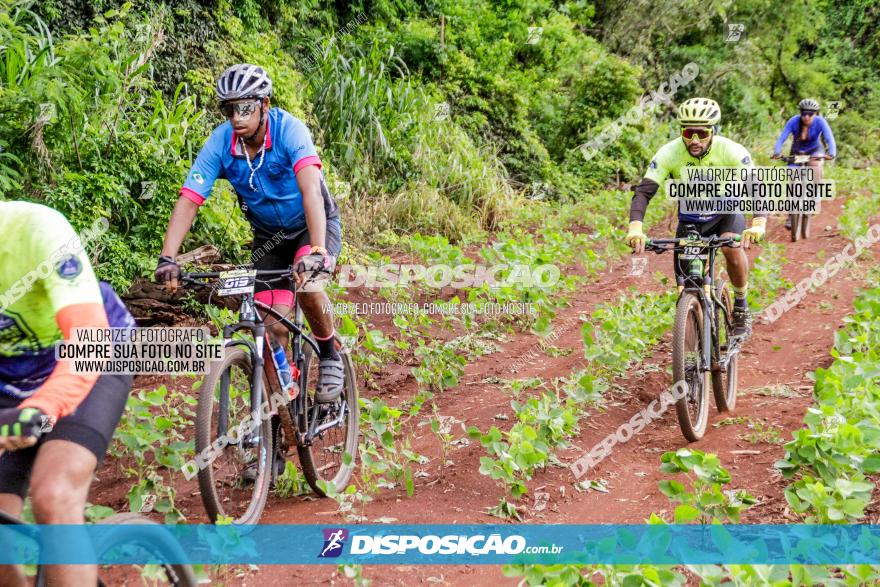 1ª EDIÇÃO DESAFIO ABELHA GRANDE - XCM