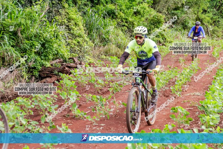 1ª EDIÇÃO DESAFIO ABELHA GRANDE - XCM