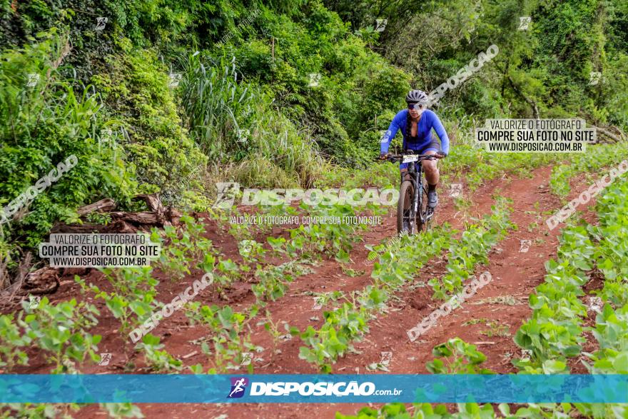 1ª EDIÇÃO DESAFIO ABELHA GRANDE - XCM