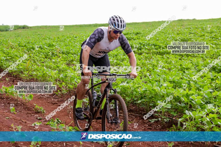 1ª EDIÇÃO DESAFIO ABELHA GRANDE - XCM