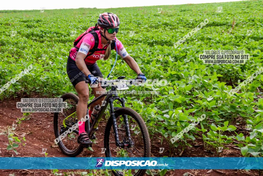 1ª EDIÇÃO DESAFIO ABELHA GRANDE - XCM