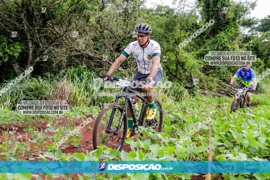 1ª EDIÇÃO DESAFIO ABELHA GRANDE - XCM