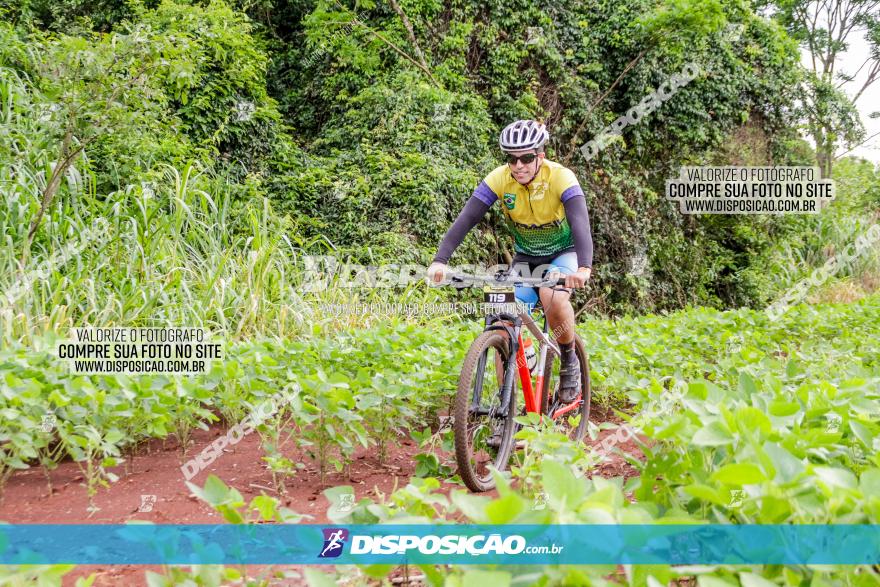 1ª EDIÇÃO DESAFIO ABELHA GRANDE - XCM