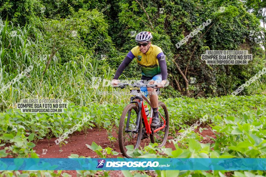 1ª EDIÇÃO DESAFIO ABELHA GRANDE - XCM