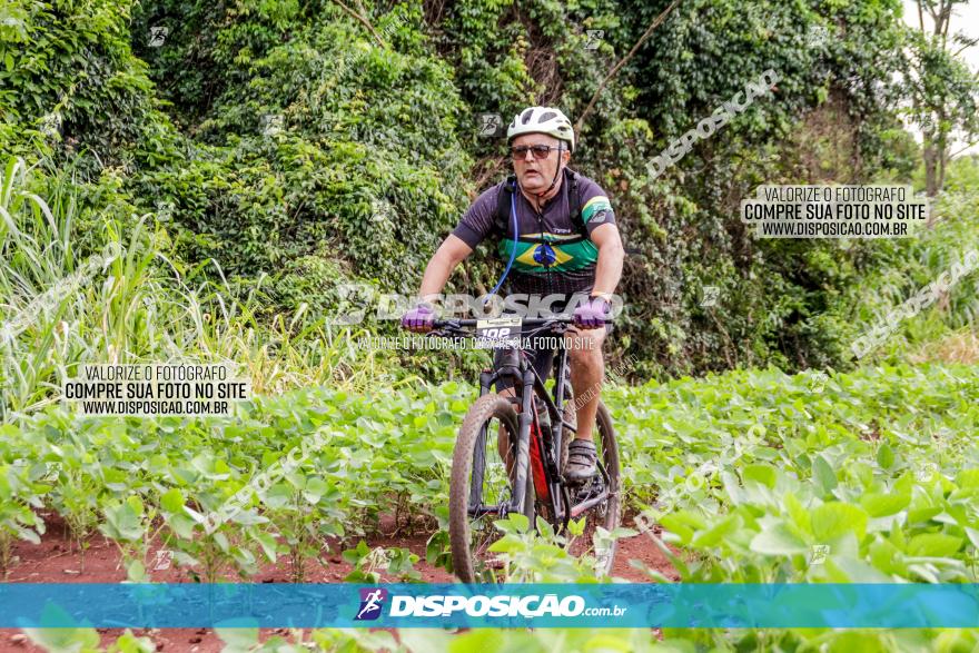 1ª EDIÇÃO DESAFIO ABELHA GRANDE - XCM