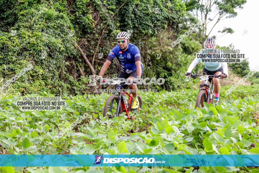 1ª EDIÇÃO DESAFIO ABELHA GRANDE - XCM