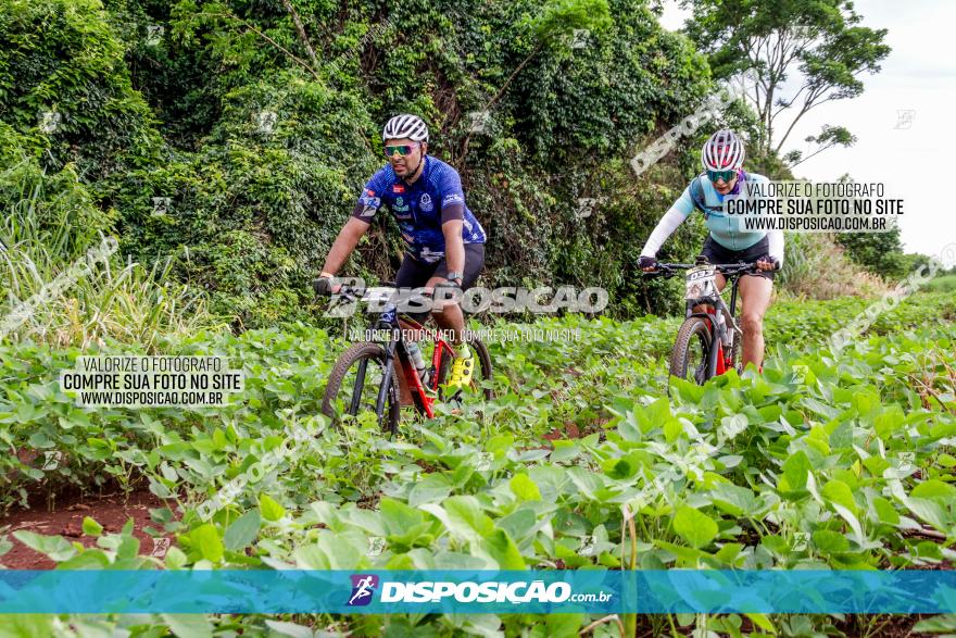 1ª EDIÇÃO DESAFIO ABELHA GRANDE - XCM