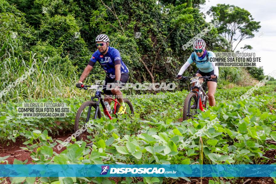 1ª EDIÇÃO DESAFIO ABELHA GRANDE - XCM