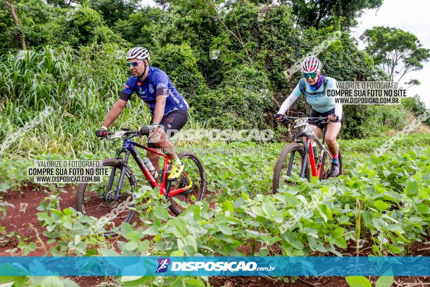 1ª EDIÇÃO DESAFIO ABELHA GRANDE - XCM