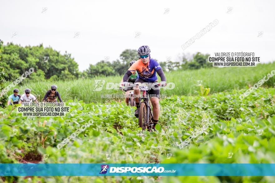 1ª EDIÇÃO DESAFIO ABELHA GRANDE - XCM