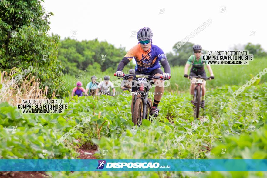 1ª EDIÇÃO DESAFIO ABELHA GRANDE - XCM