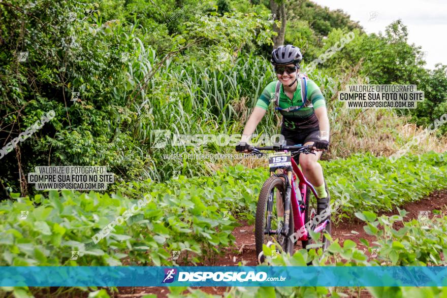 1ª EDIÇÃO DESAFIO ABELHA GRANDE - XCM