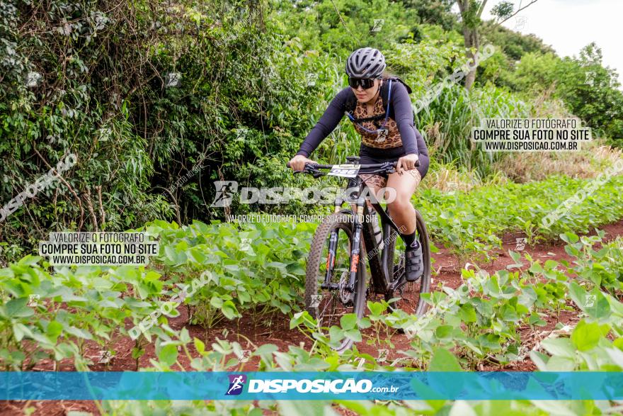 1ª EDIÇÃO DESAFIO ABELHA GRANDE - XCM