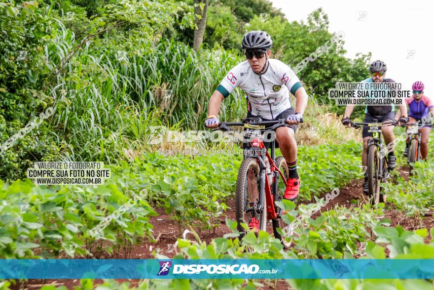 1ª EDIÇÃO DESAFIO ABELHA GRANDE - XCM