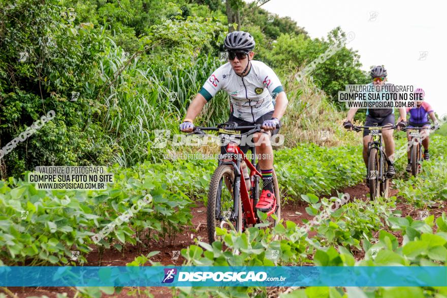 1ª EDIÇÃO DESAFIO ABELHA GRANDE - XCM