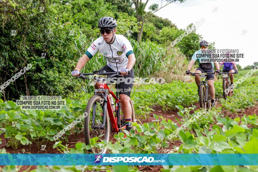 1ª EDIÇÃO DESAFIO ABELHA GRANDE - XCM