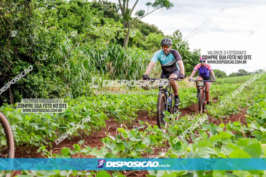 1ª EDIÇÃO DESAFIO ABELHA GRANDE - XCM