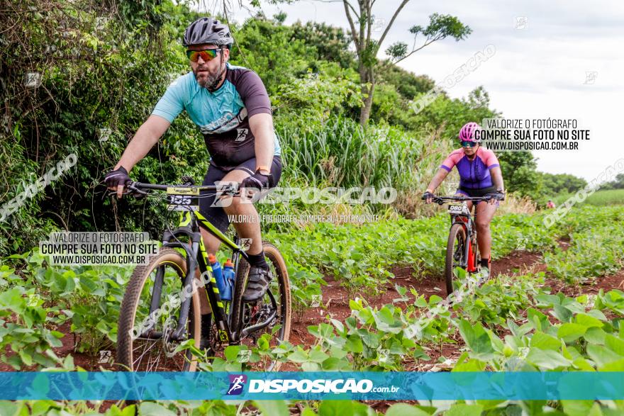 1ª EDIÇÃO DESAFIO ABELHA GRANDE - XCM