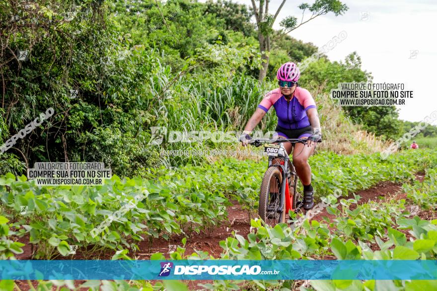 1ª EDIÇÃO DESAFIO ABELHA GRANDE - XCM