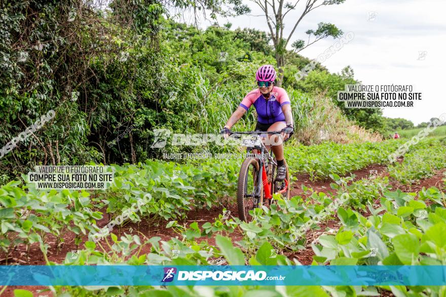 1ª EDIÇÃO DESAFIO ABELHA GRANDE - XCM