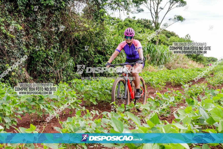 1ª EDIÇÃO DESAFIO ABELHA GRANDE - XCM