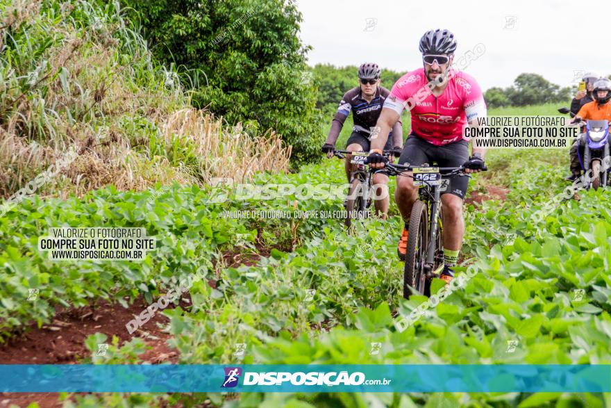 1ª EDIÇÃO DESAFIO ABELHA GRANDE - XCM