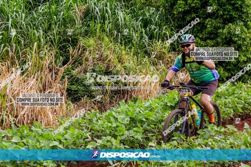 1ª EDIÇÃO DESAFIO ABELHA GRANDE - XCM