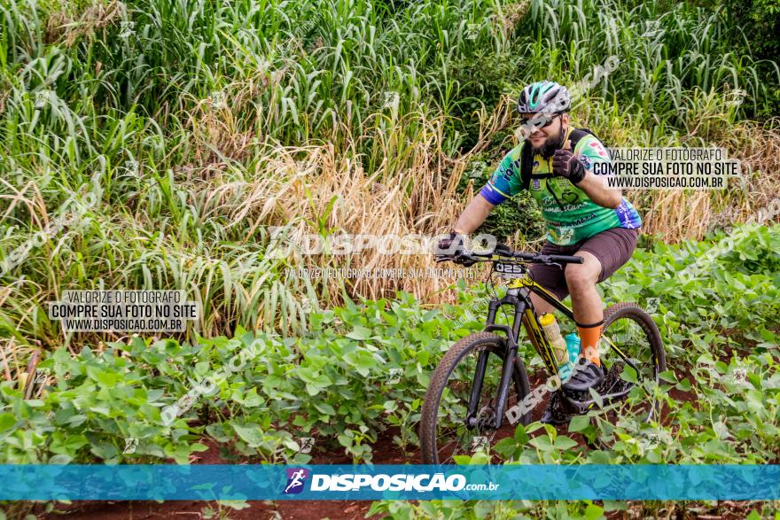 1ª EDIÇÃO DESAFIO ABELHA GRANDE - XCM