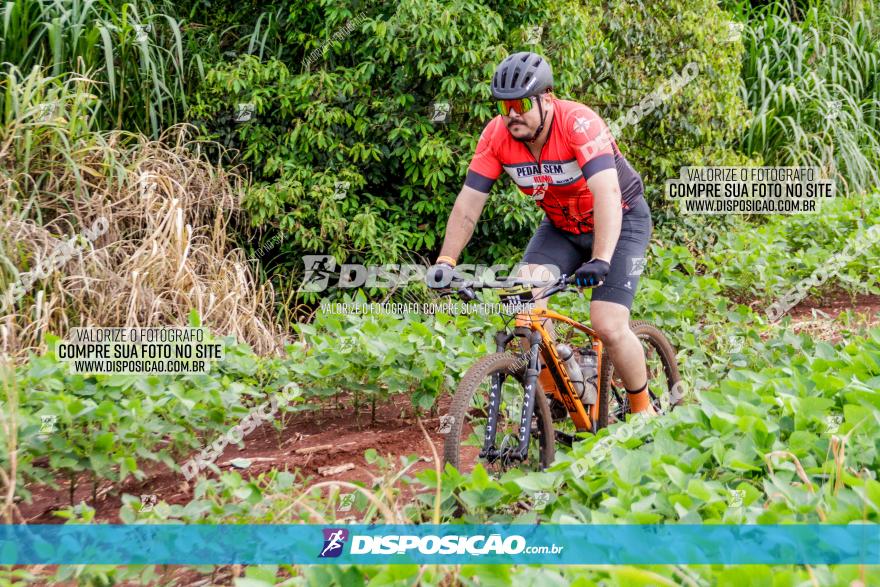 1ª EDIÇÃO DESAFIO ABELHA GRANDE - XCM