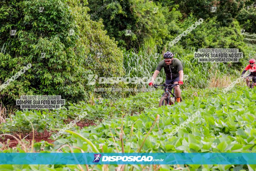 1ª EDIÇÃO DESAFIO ABELHA GRANDE - XCM