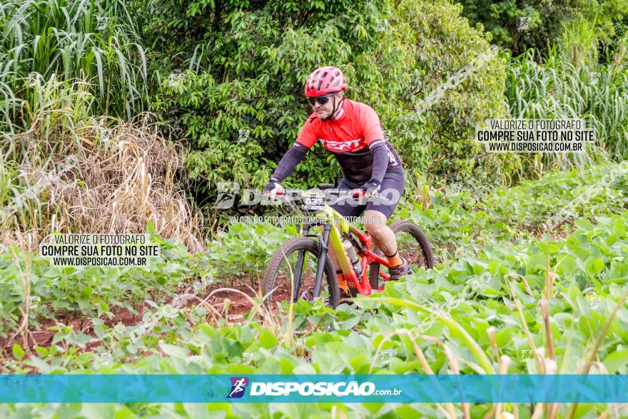 1ª EDIÇÃO DESAFIO ABELHA GRANDE - XCM