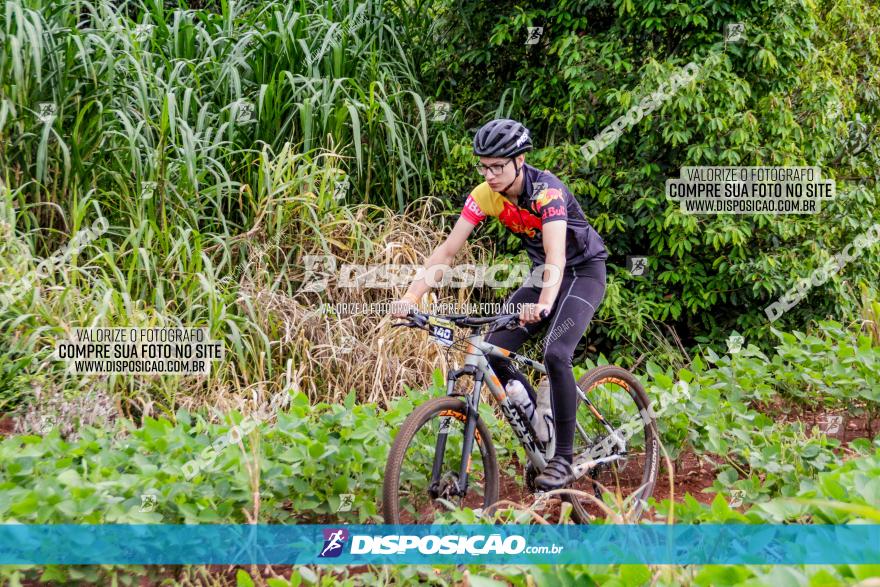 1ª EDIÇÃO DESAFIO ABELHA GRANDE - XCM