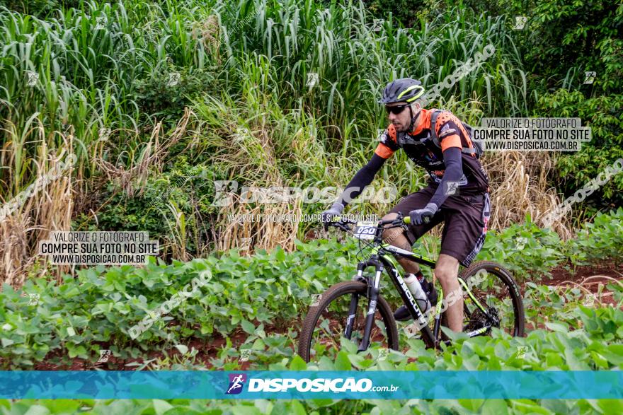 1ª EDIÇÃO DESAFIO ABELHA GRANDE - XCM