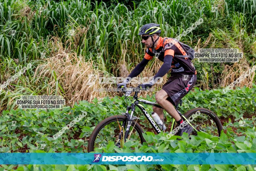 1ª EDIÇÃO DESAFIO ABELHA GRANDE - XCM