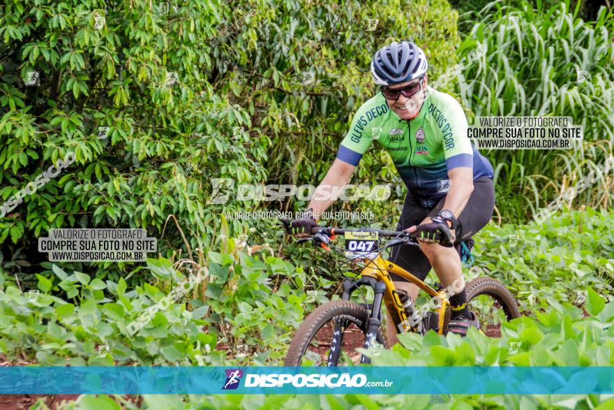 1ª EDIÇÃO DESAFIO ABELHA GRANDE - XCM