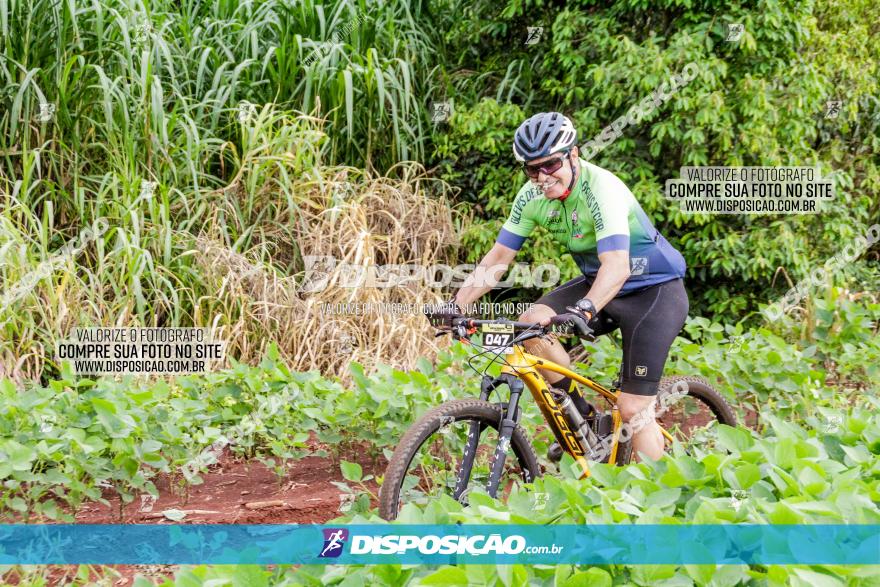 1ª EDIÇÃO DESAFIO ABELHA GRANDE - XCM