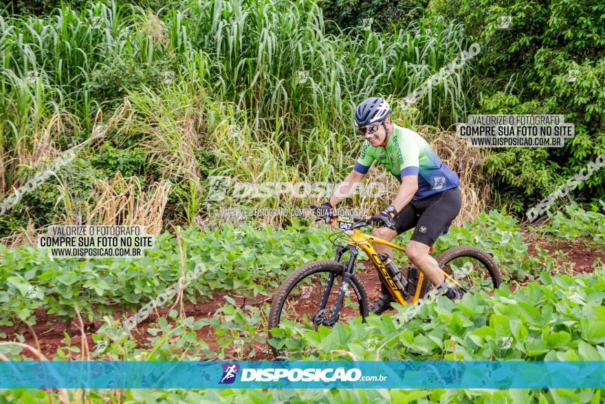 1ª EDIÇÃO DESAFIO ABELHA GRANDE - XCM