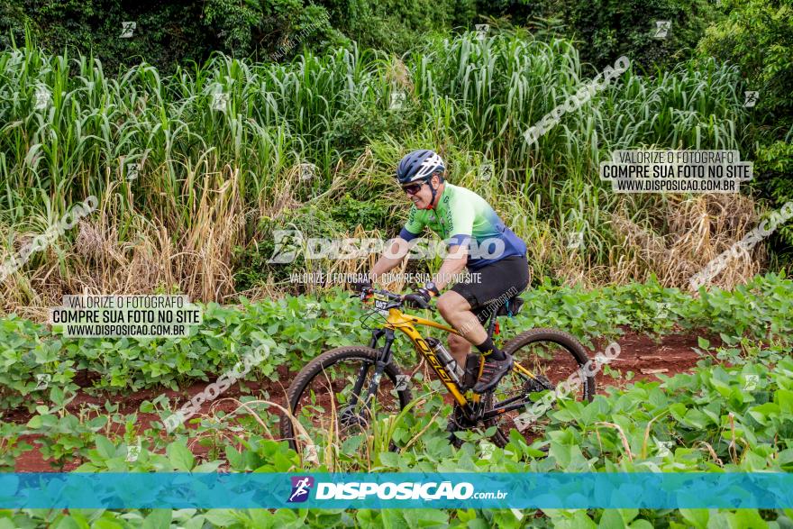 1ª EDIÇÃO DESAFIO ABELHA GRANDE - XCM